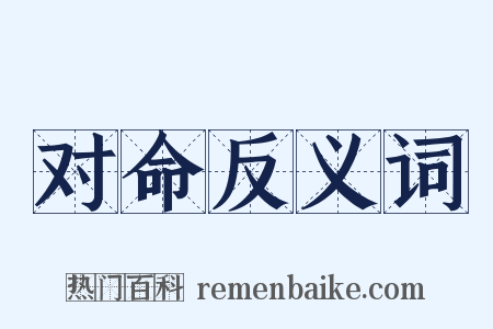 对命反义词是什么意思的图片